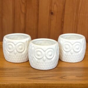 Set of 3 White Owl Ceramic Planters EUC